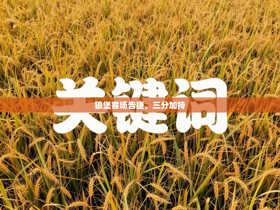 狼堡客场告捷，三分加持  第2张